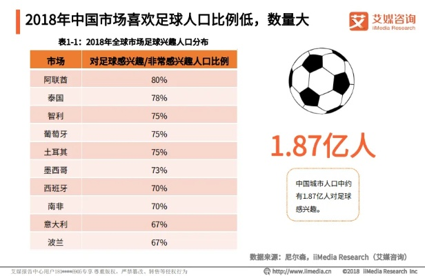 2020欧洲杯没有中国 中国足球的现状与未来发展-第3张图片-www.211178.com_果博福布斯