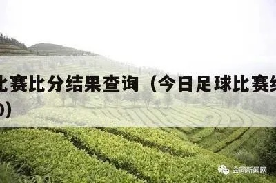 今天足球比赛比分是多少？