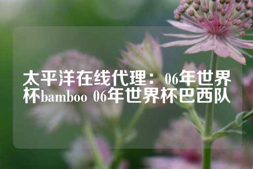 太平洋在线代理：06年世界杯bamboo 06年世界杯巴西队