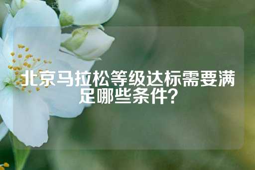 北京马拉松等级达标需要满足哪些条件？