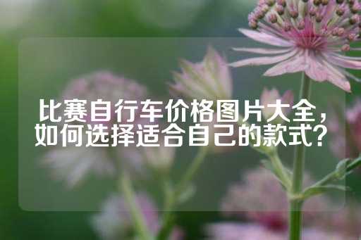 比赛自行车价格图片大全，如何选择适合自己的款式？