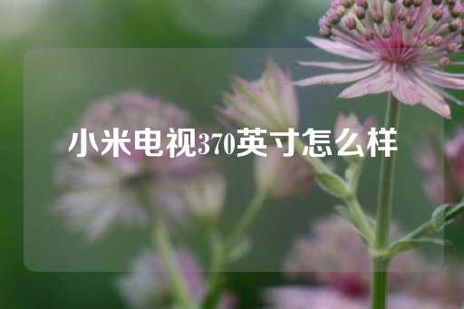 小米电视370英寸怎么样